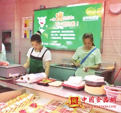 廣西首批“構樹生態豬”上市